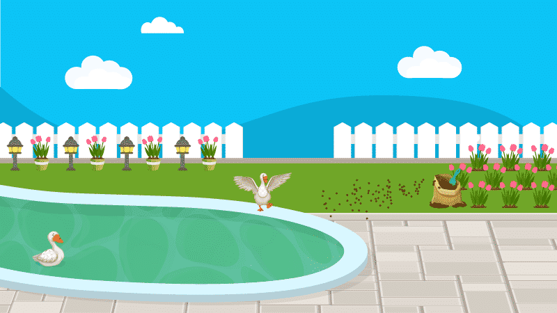 The Truth about Nitrates in Your Pool