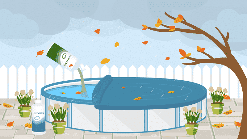 10 Off Season Pool Care Tips