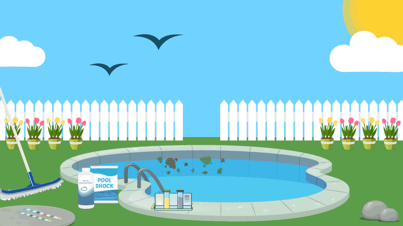 How to Identify and Remove Pool Stains